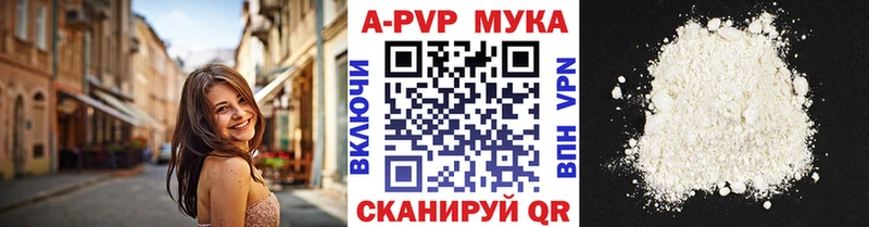 дарнет шоп  Перевоз  ссылка на мегу как войти  A-PVP мука 