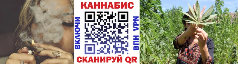 Бошки марихуана SATIVA & INDICA  omg онион  Перевоз 
